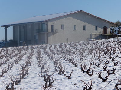 INVIERNO